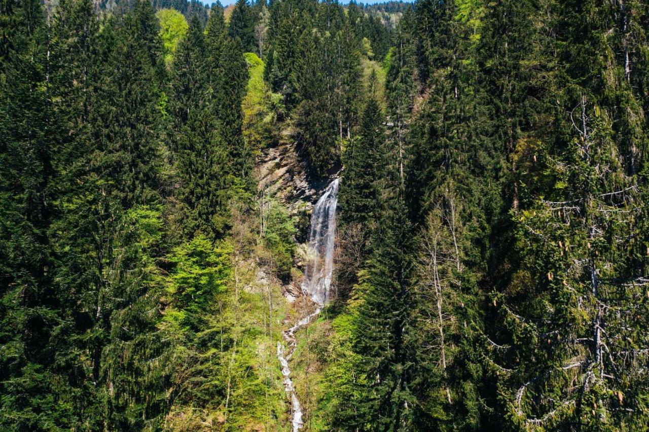 Apartment Wald - Im Skigebiet Gerlitzen & Ossiacher See Bodensdorf Zewnętrze zdjęcie